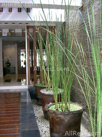 Melia Bali - The Garden Villas 53